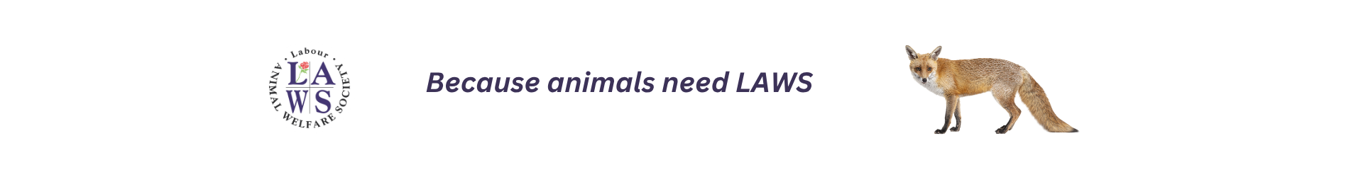 cropped-LAWS-web-banner-1903-x-250-px-1.png
